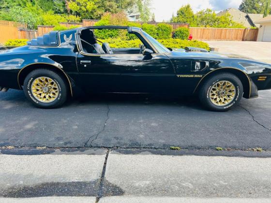 1979 Pontiac Trans Am Coupe 6.6L Engine