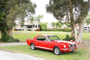 1965 Ford Mustang GT 350 Tribute C code