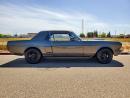 1966 Ford Mustang GT350 TRIBUTE COUPE C CODE