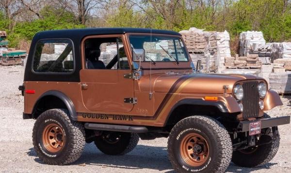 1980 Jeep CJ CJ-7 304 V-8 Engine