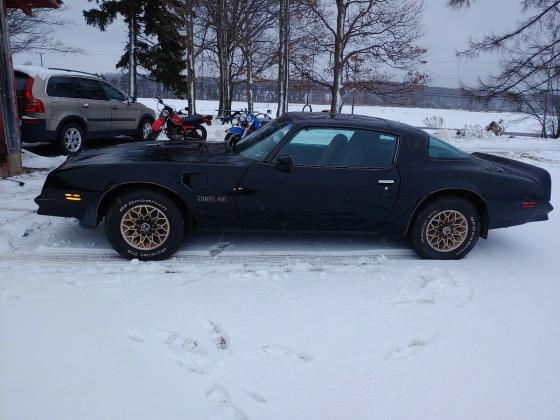 1977 Pontiac Firebird Trans Am SE Y82 Coupe