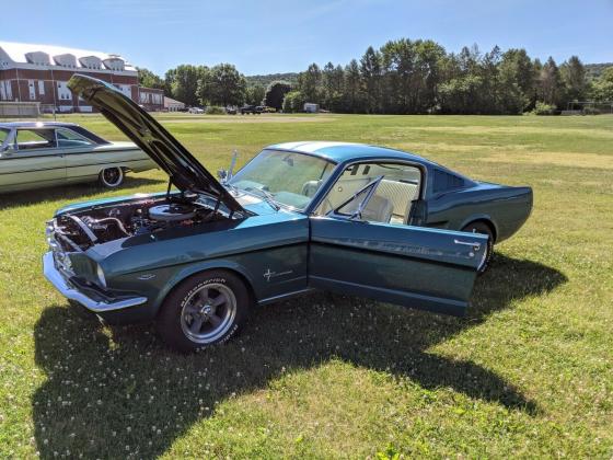 1965 Ford Mustang 289 Engine 8 Cyl Fastback