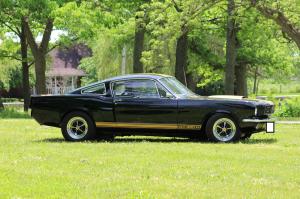 1966 Mustang Shelby Fastback GT Racer GT350