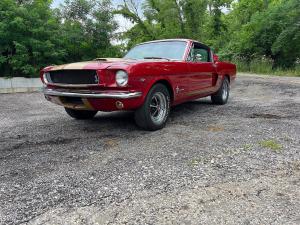 1965 Ford Mustang FASTBACK GT 350 TRIM 289 AUTO 24200 Miles