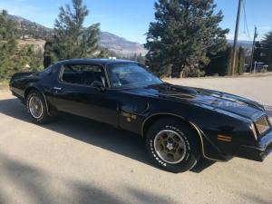 1976 Pontiac Trans Am 50th anniversary Y82 TA only 533 made