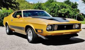 1973 Ford Mustang Mach 1 351 V8 Very Original Car