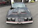 1979 Pontiac Firebird WS6 Special Performance Package