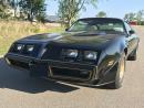 1981 Pontiac Trans Am SE Y84 WS6 Survivor Only 35K Miles