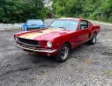 1965 Ford Mustang FASTBACK GT 350 TRIM 289 AUTO