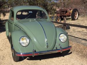 1952 Volkswagen Beetle - Classic